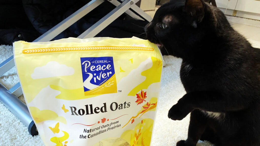 OKストアのオートミールなくなっちゃった