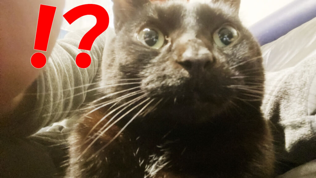 俺たちのシマノが大ピンチ