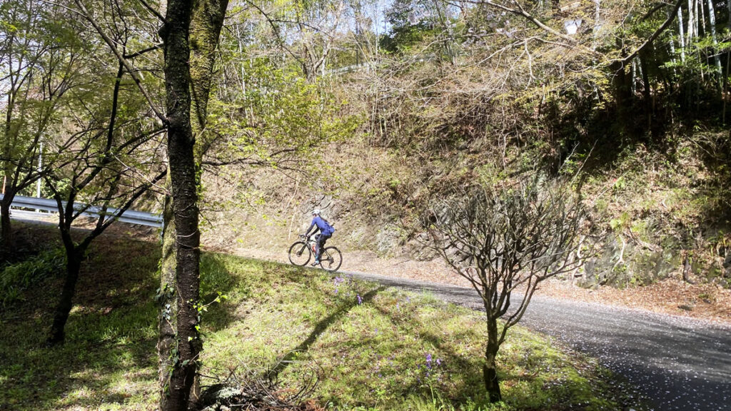 しかしヒルクライムは激坂ばかり