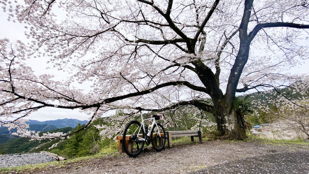 2026年4月のFTPはどうなったかな?