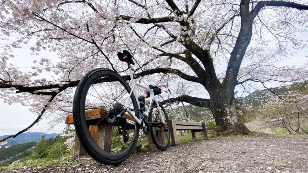 まだダイエットで消耗してるの??www