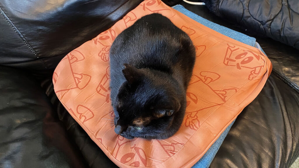 ちょっとトイレに立っただけでコレ