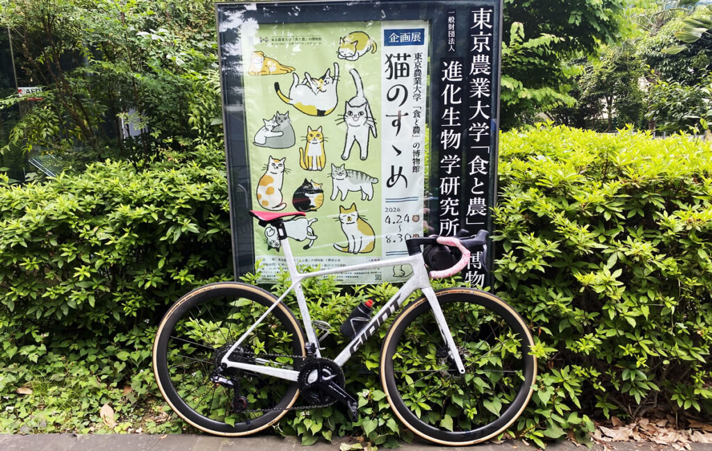 「猫のすゝめ」に行ってみよう!