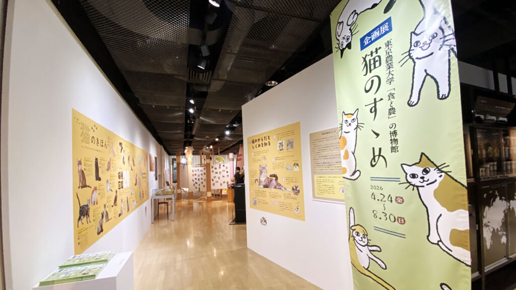 企画展「猫のすゝめ」とは