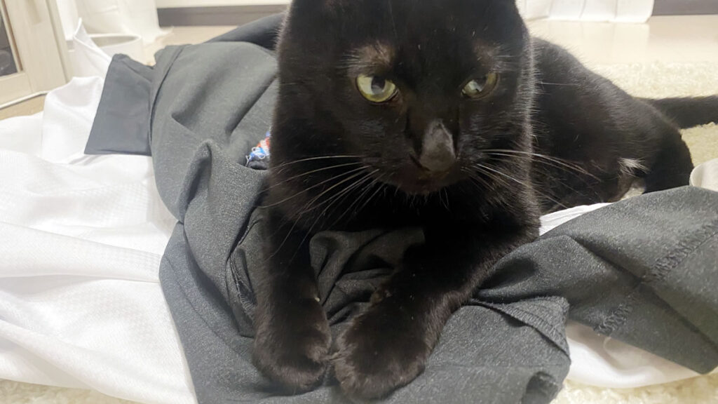黒猫氏、動物病院へ行く