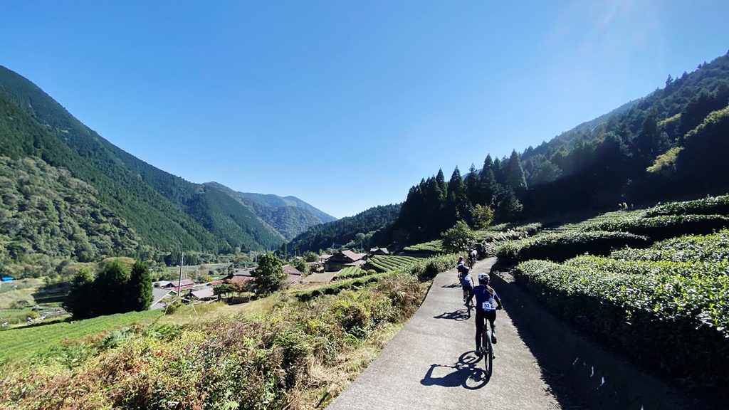 茶畑の景色も素晴らしい(激坂)