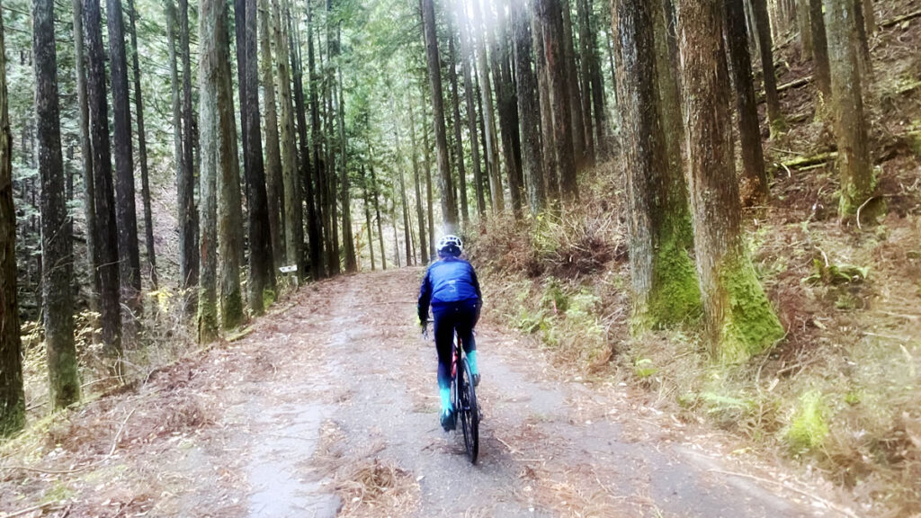 路面状況なんて教えませんよ？