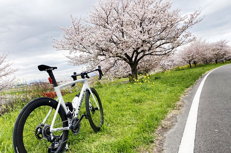 Zwiftだけじゃない 外出自粛の今楽しみたいインドアサイクリングアプリ6選 Boriko Cycle ロードバイク マウンテンバイク ブログ