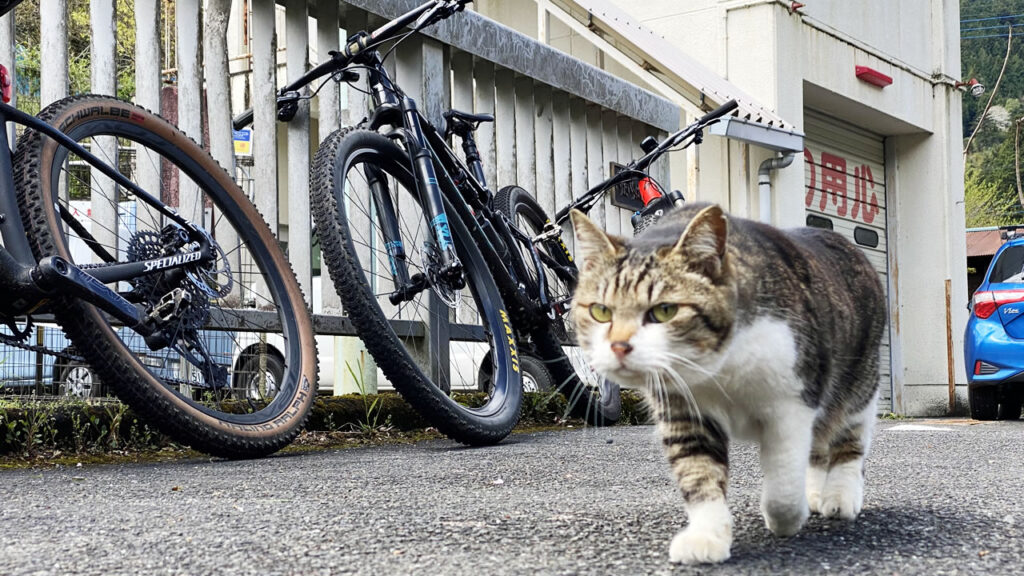 ほしかったMTBタイヤが軒並み品切れ