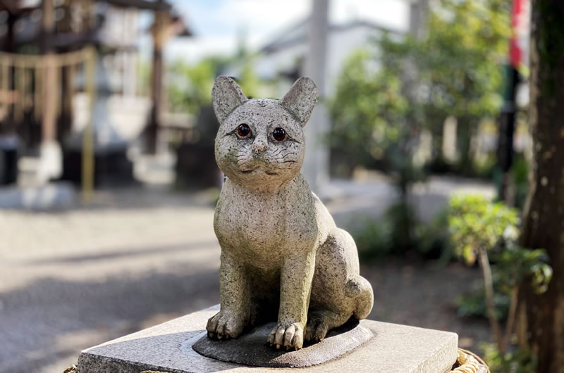 京丹後市の本家本元・狛猫に会いに行きたい！