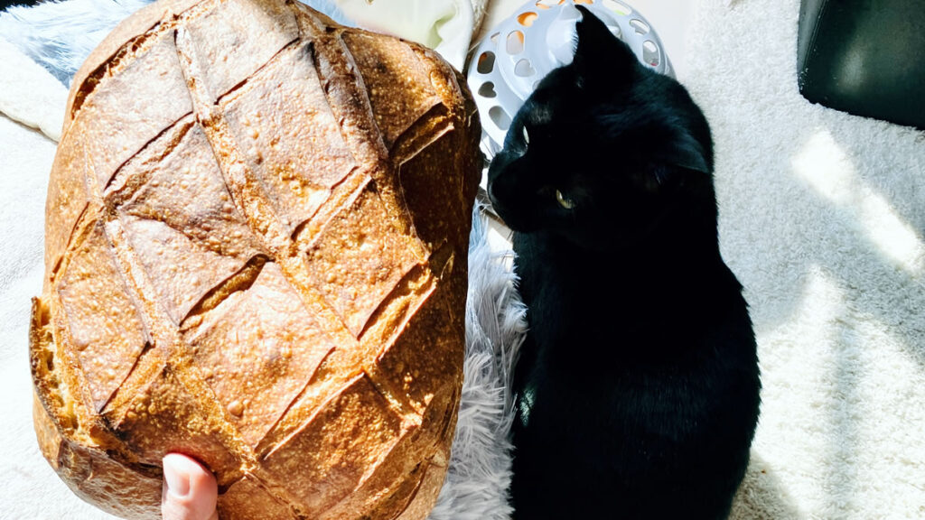 同じ炭水化物でもパンとご飯は全然別物（に感じます）