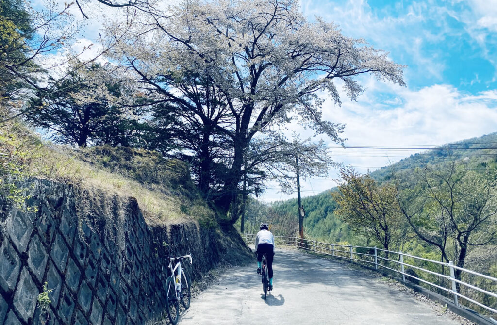 すぐ隣に自転車めっちゃ楽しんでいる人がいたのが我がロードバイク人生の始まりでした