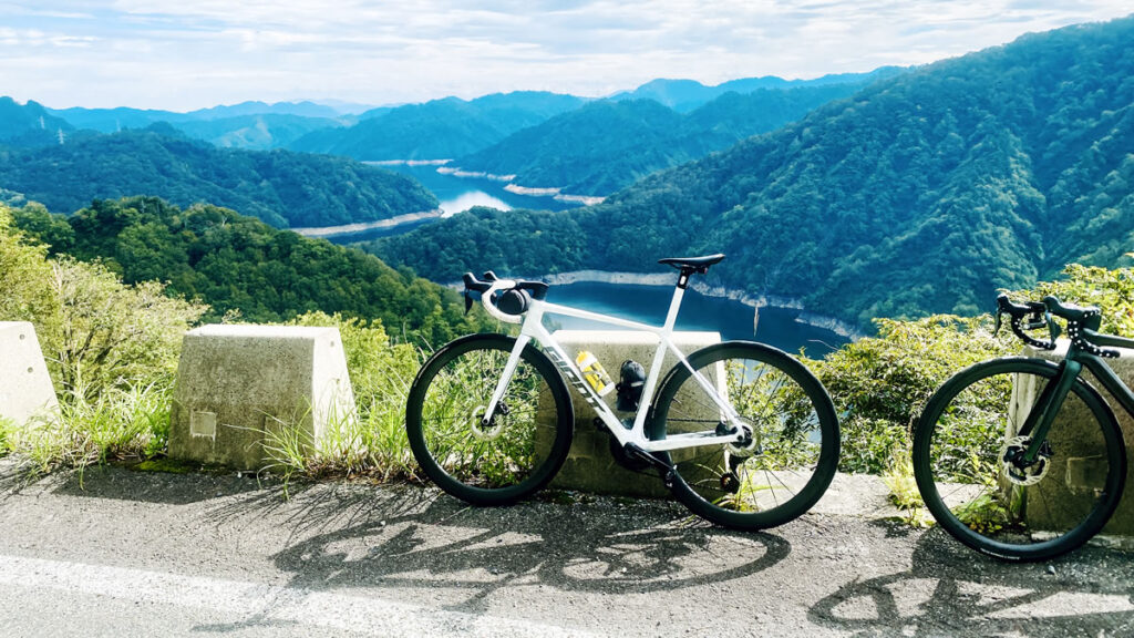 TCRはなぜ存在しているの?