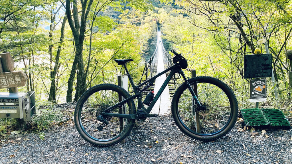 2025年11月のロードバイク記録