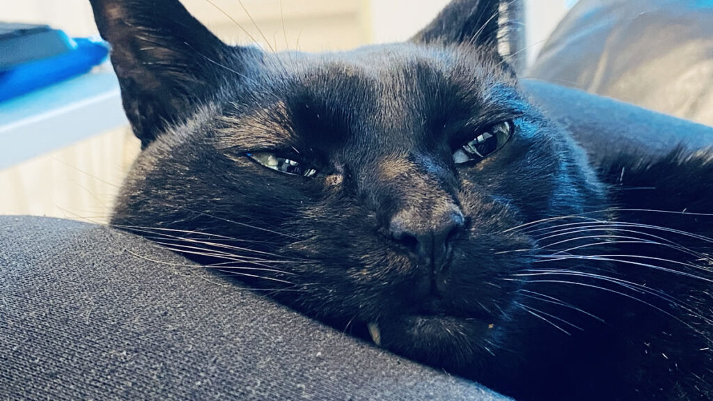 ゴルビー辛いなぁ。。。やりたくないなぁ。。。