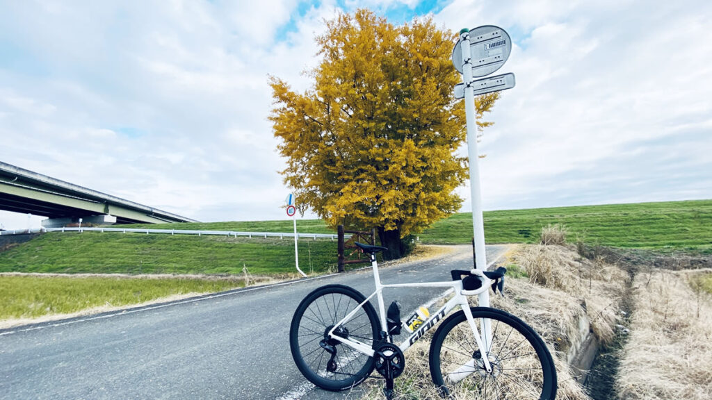 荒川はもうすぐヒルクライムのシーズンです(^ω^)