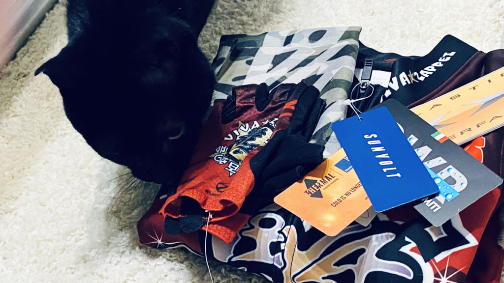 黒猫氏による検品も無事クリア!