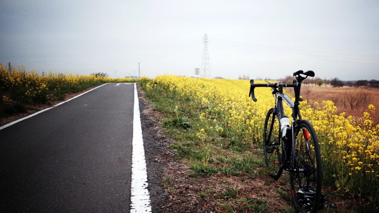 渋峠のルート開拓 Boriko Cycle ロードバイク マウンテンバイク ブログ 渋峠のルート開拓 Boriko Cycle ロードバイク マウンテンバイク ブログ