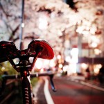 スペシャライズドターマックと渋谷の夜桜