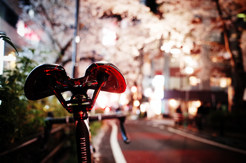 スペシャライズドターマックと渋谷の夜桜
