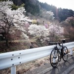 奥多摩の桜とスペシャライズドターマック