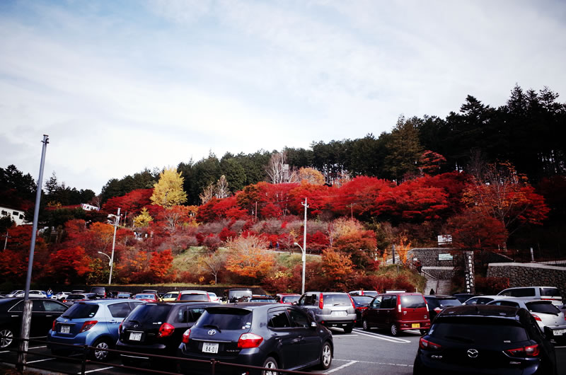 紅葉がきれいな三峰神社