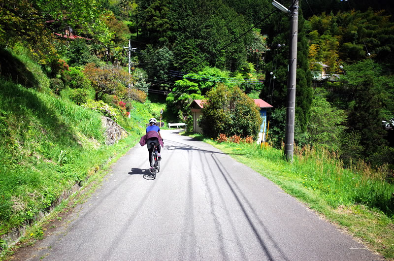 奥武蔵グリーンラインはサイクリングに最高！