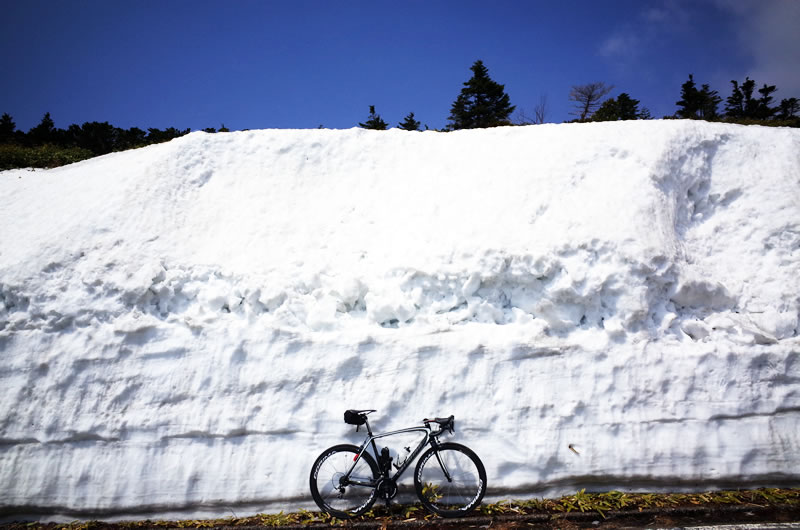 2016年の雪の壁＠渋峠