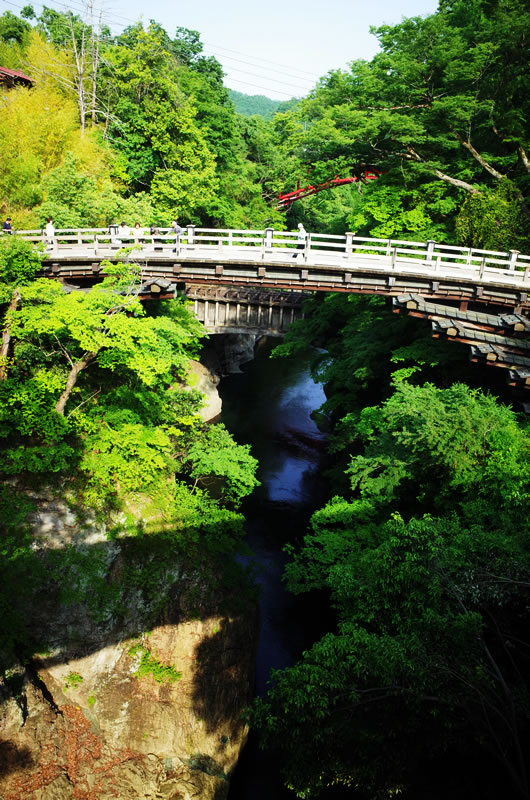 日本三奇橋・猿橋を観光したり