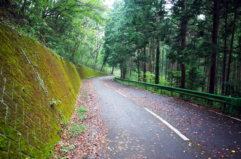 古賀志林道の下りは落ち葉と急カーブで怖いくらい