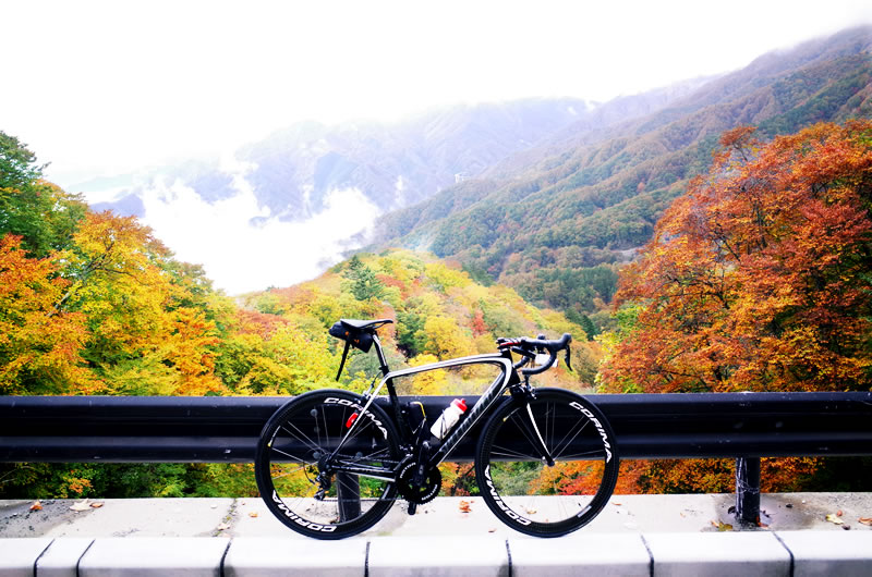 上日川峠は紅葉真っ盛り！