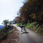 風張林道・勝利の舞い!