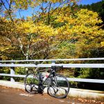 タイムは冴えぬがパワーは自己ベスト更新のヤビツ峠