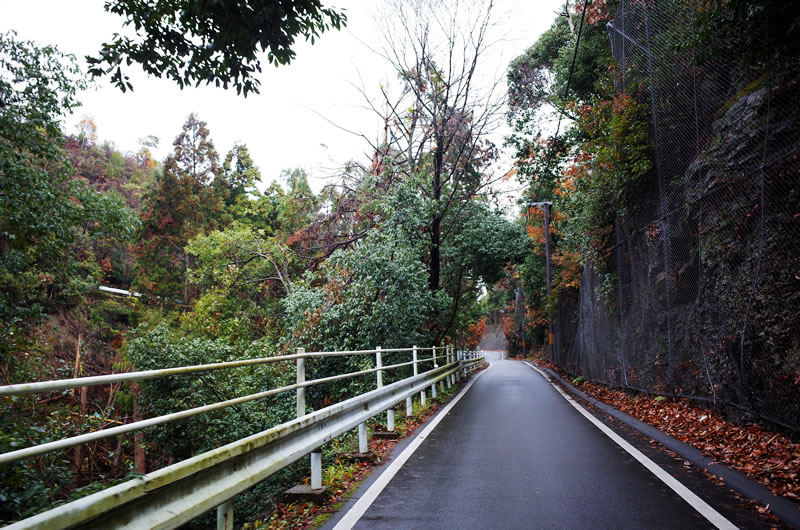 京見峠は上りやすいぞ！