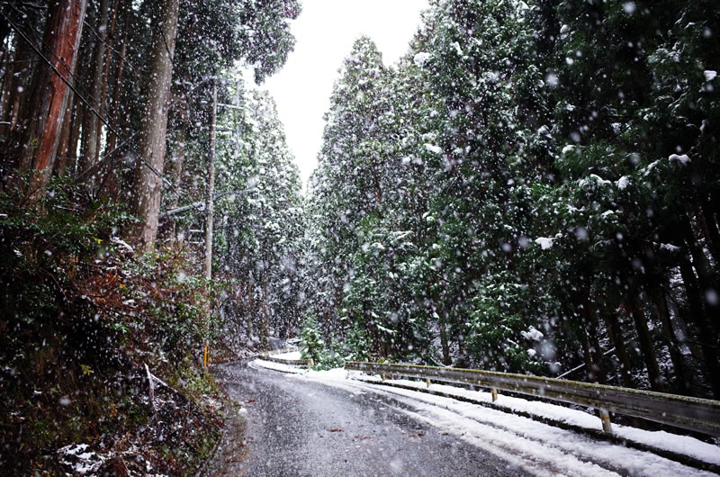 雪も激しくなってきたので百井峠は断念