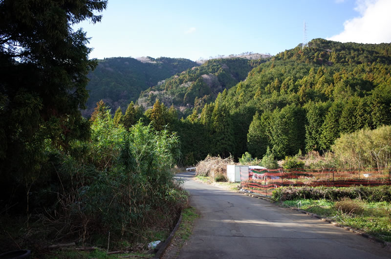 平地が、平地があるぞ！ 