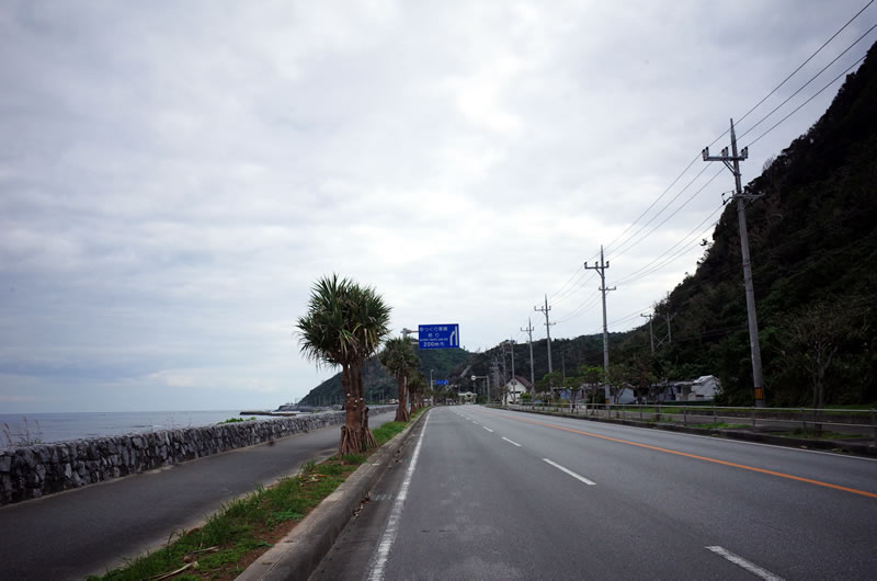 スタート地点からしばらくはド平坦