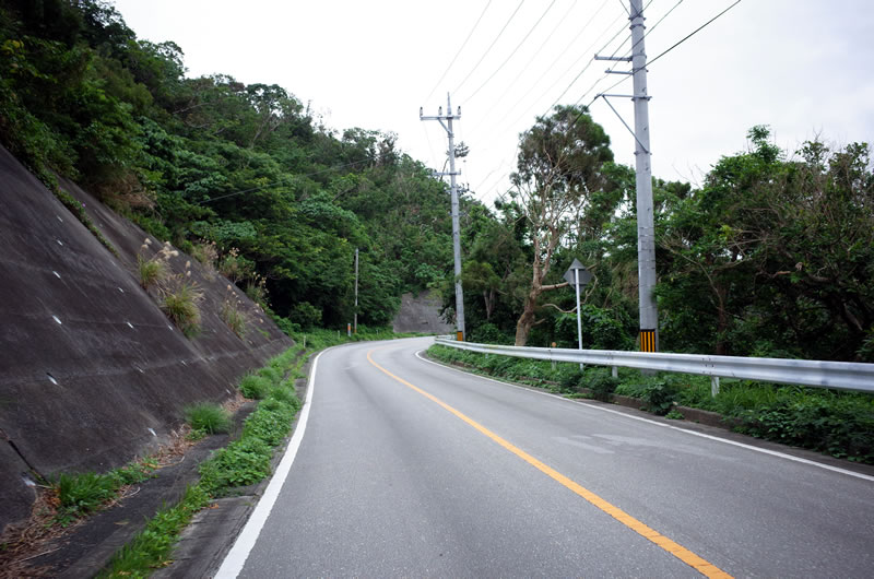 緩いようなきついような最初の上り