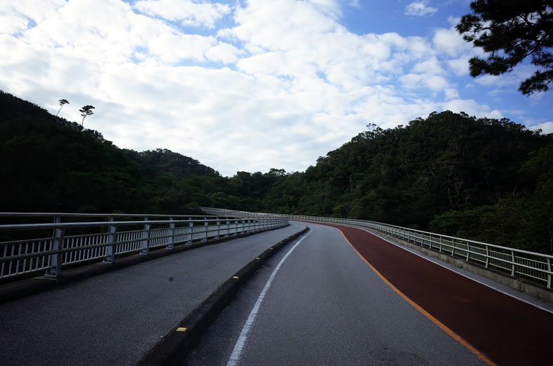 香りが醸す、羽地ダムの上り