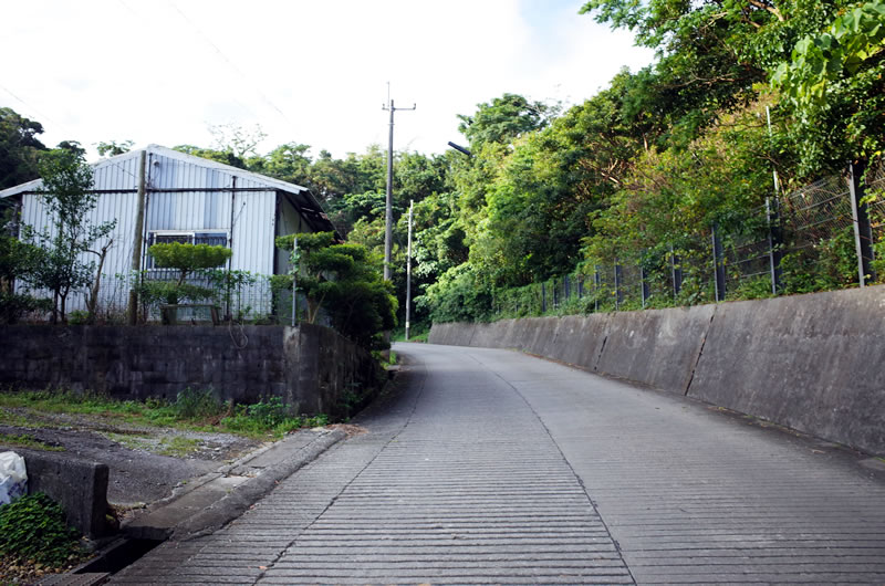 八重岳がいきなり激坂歓迎