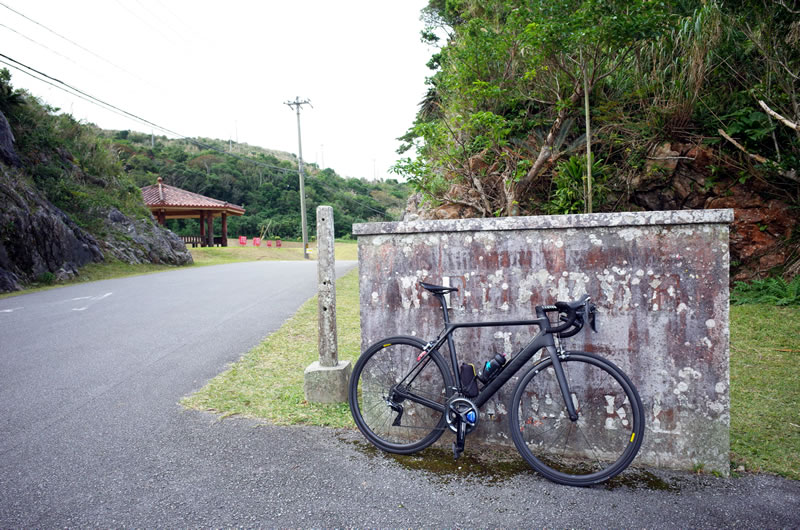 八重岳のゴール