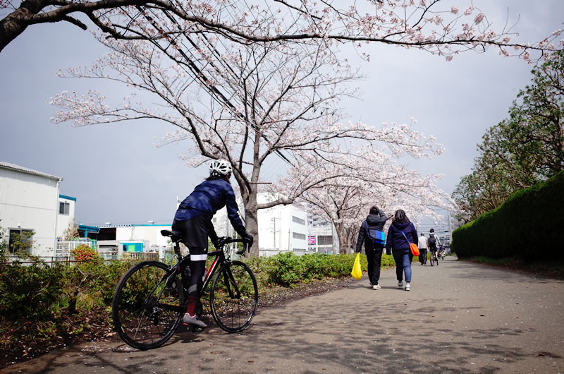 グルメに桜に、大満足の久々リアルロードバイクライフでした(*´ω｀)