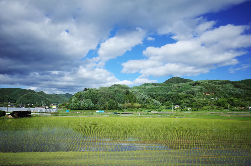 佐久穂の田園地帯をのんびりサイクリング(*´ω｀)