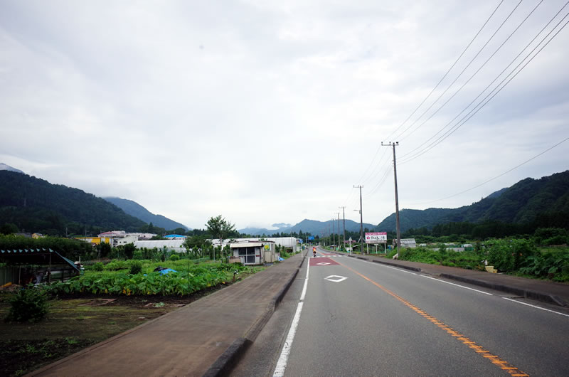 この道志みちを選手が走ると思うと感動(*´ω｀)