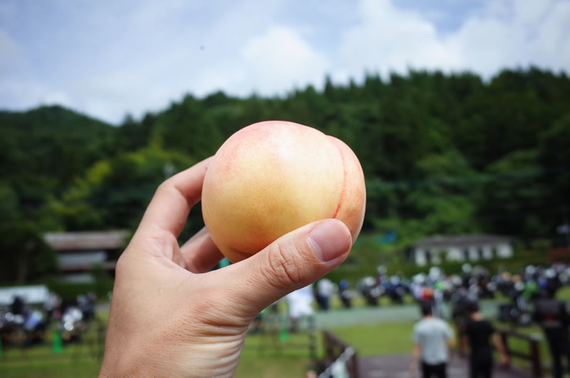 本物の桃も食べちゃう