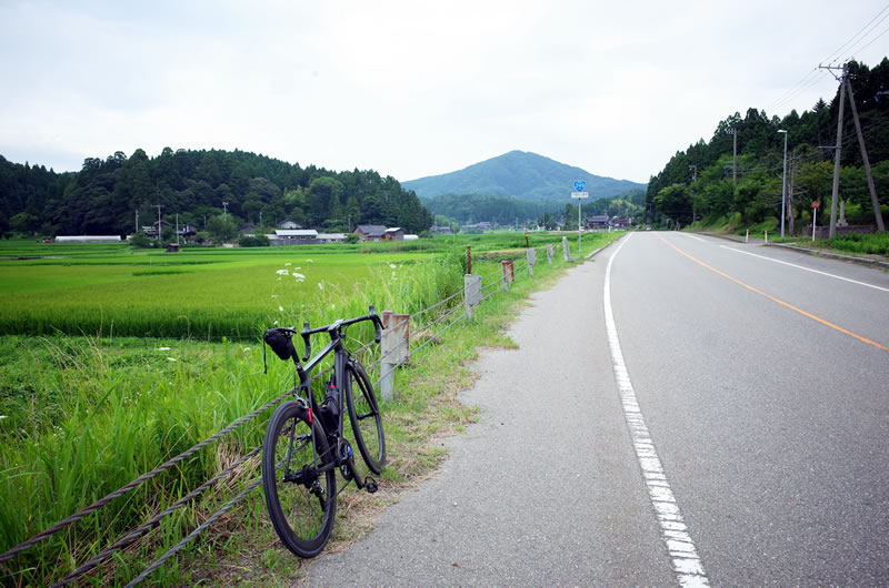 山らしい山はまったくない249号線