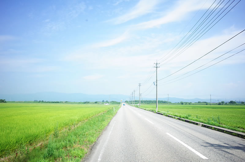 どこまでも伸びる一本道