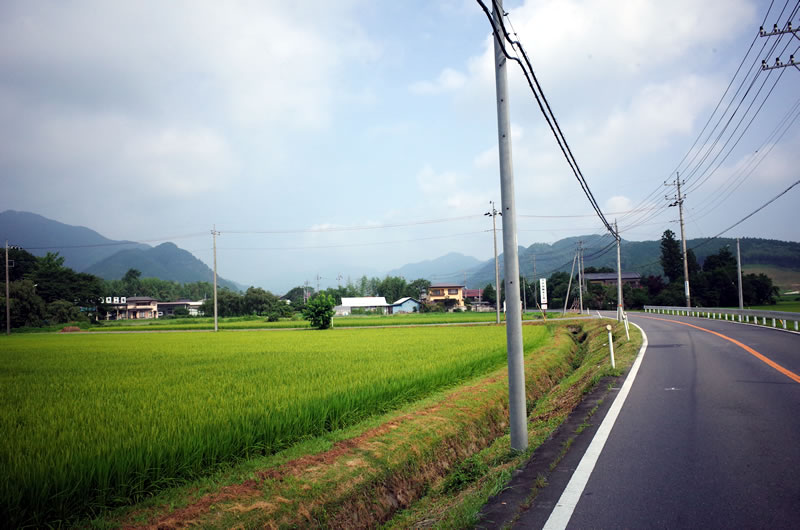 鹿沼を過ぎると広がる田園風景