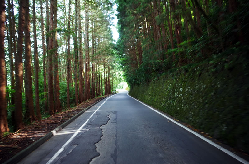 国道469号線がなかなか良い道