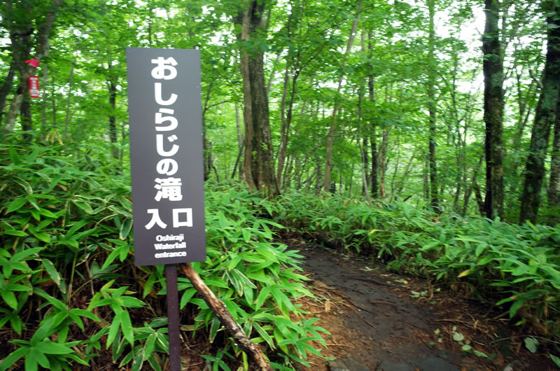 おしらじの滝へは山道を歩いていく